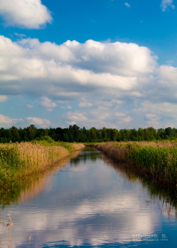 A Canal