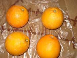 Just some fresh oranges