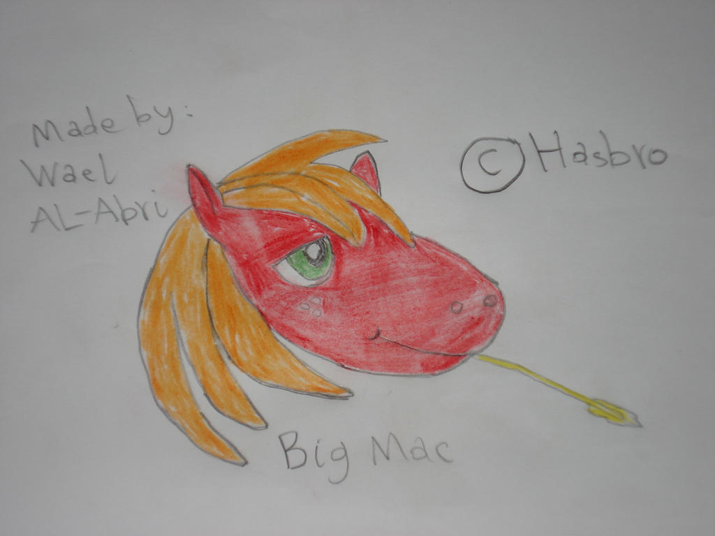 A drawing for Big Mac