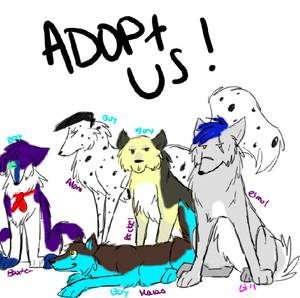 CANINE CHAR ADOPTIONS