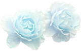 Pastel Blue Rose - Deco