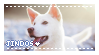 Korean Jindo Dog - Stamp by candlelit-deco