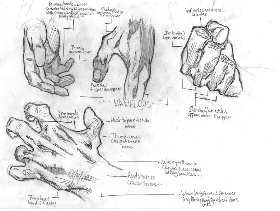 Hand Study by Atlas0 on DeviantArt