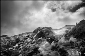 Top of Diamond Head Crater