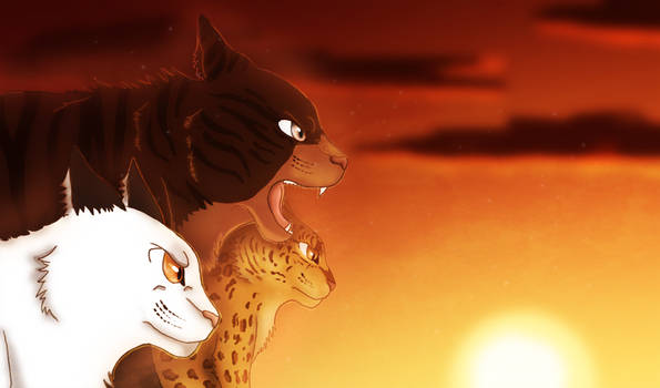 Tigerstar's Reign