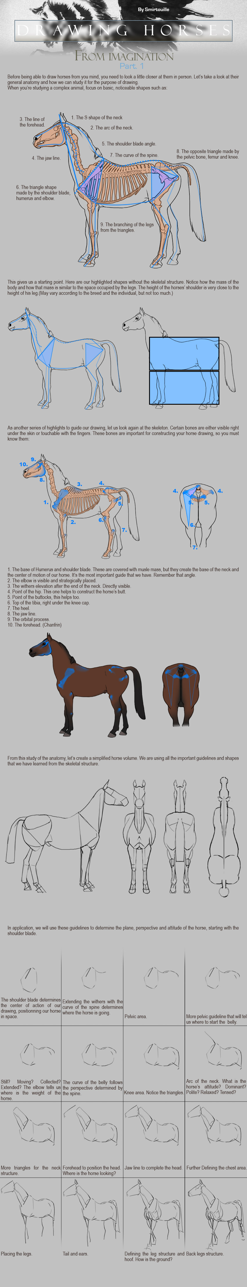 Drawing Horses Tutorial - Part 1
