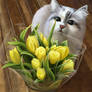 Cat with yellow tulips