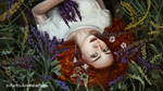 Lavender scent by 1NFIN1TY
