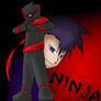 I Am The Ninja (Randy 9th Grade Ninja)