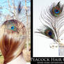 Peacock Hair Comb