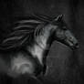 Black Horse