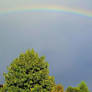 Rainbows In The Sky You Are Running By