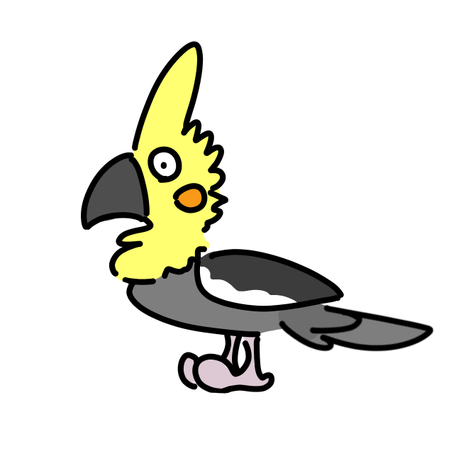 Dancing bird! - Koko the Cockatiel by Kokobirn on DeviantArt