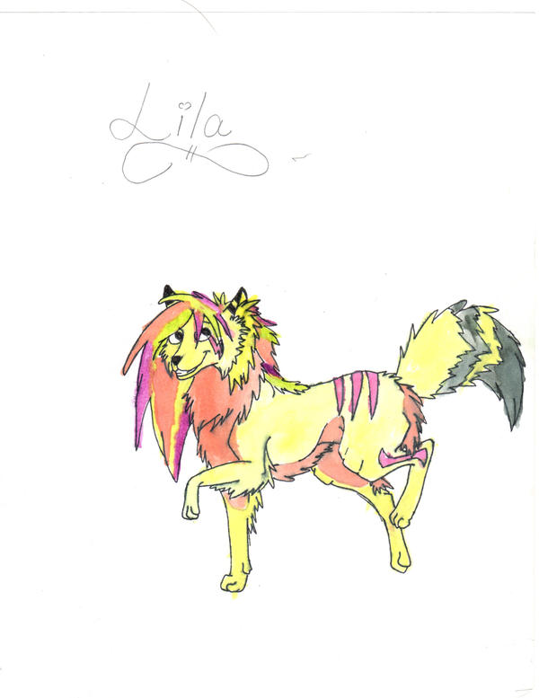 lila