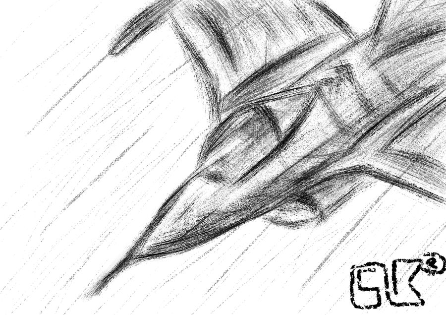 F-16C Block 52+