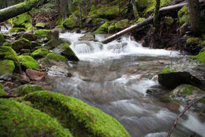 Mossy Waterfall