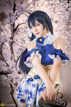 Umi Sonoda