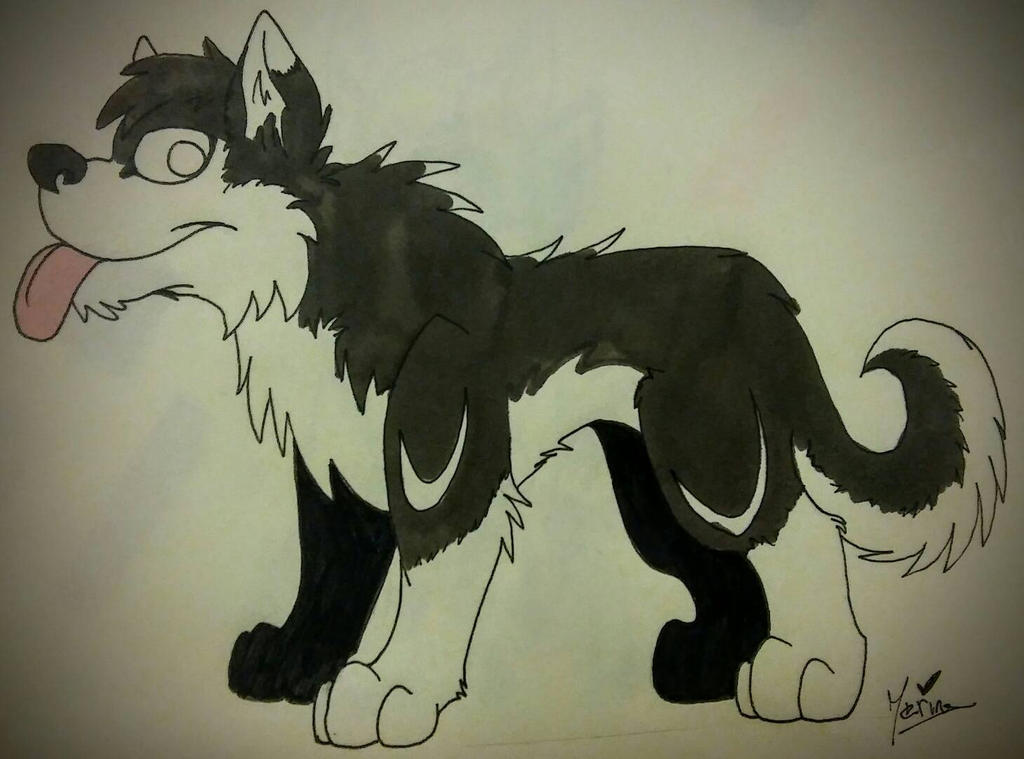Husky Deviantart Husky by MarineAnkoyuki on DeviantArt