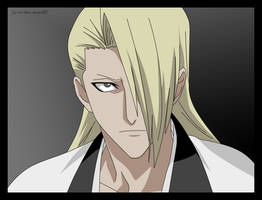 Bleach: Captain Kira