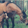 Mother and Daughter.