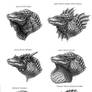 Reptilian Design: Heads