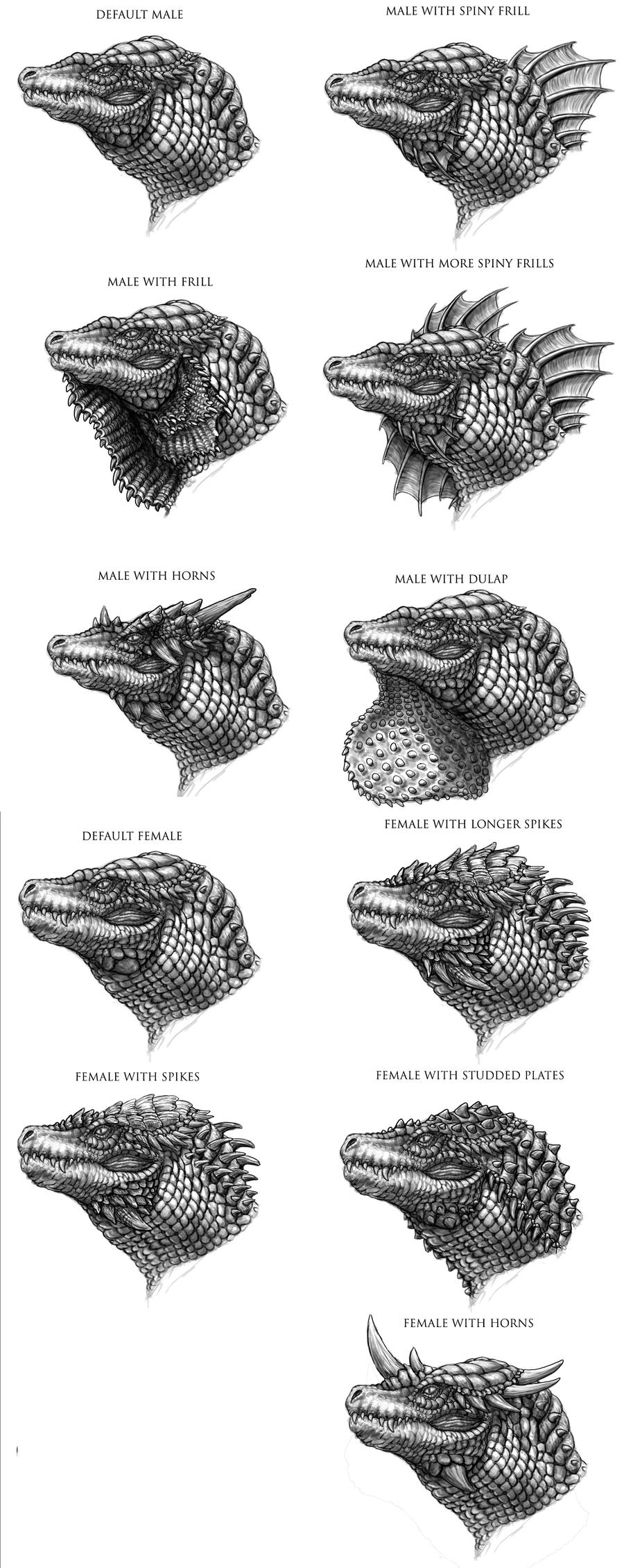 Reptilian Design: Heads