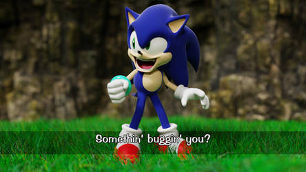 Sonic Boom - Sticks the Badger (read description!) by 