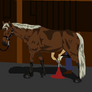 Farrier Day