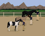 Showing off the Sale Colts by MissSouthernRunaway
