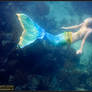 the mermaid 3