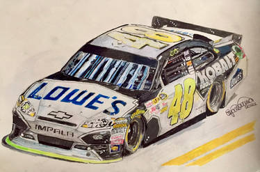 Jimmie Johnson 2011