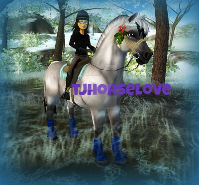 Raven feather | Star Stable by tjhorselove on DeviantArt