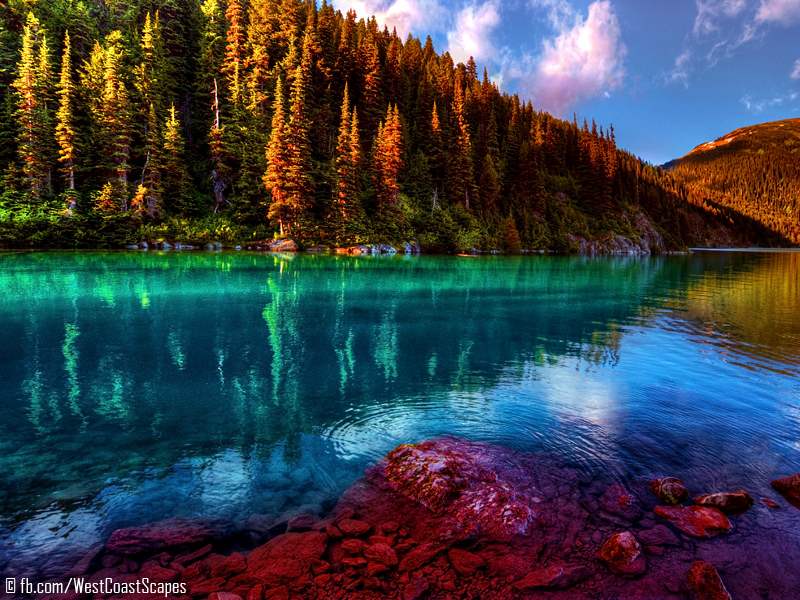 Wonderland - Landscape Calendar #2