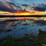 Scenic Puddle