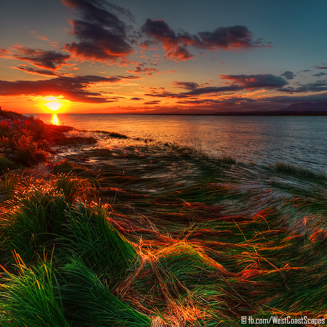 Grassflow by IvanAndreevich Grassflow by IvanAndreevich