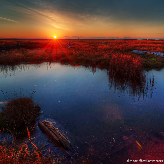 Stillness by IvanAndreevich