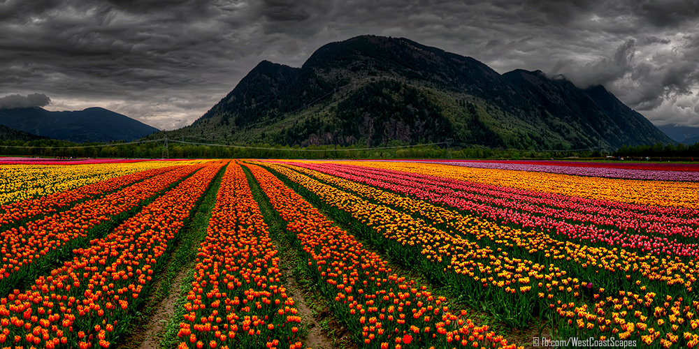 Contradiction by IvanAndreevich Contradiction by IvanAndreevich