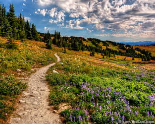 Heather Flats