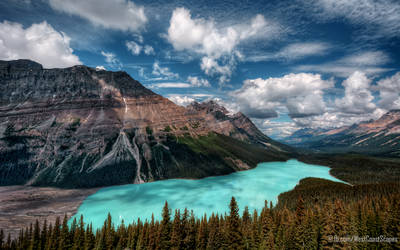 That Color by IvanAndreevich