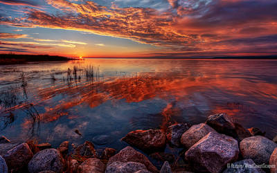 Serpent by IvanAndreevich