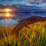 Loch Ness Monster