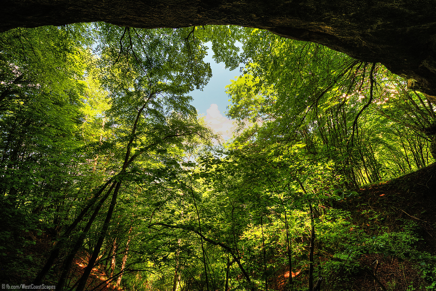 Lush Green