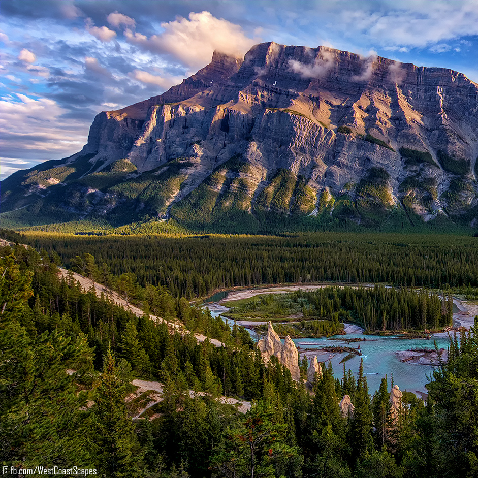 The Hoodoos