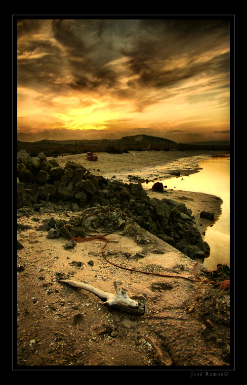 The Strange Blend by Inebriantia