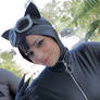 Catwoman - Hush
