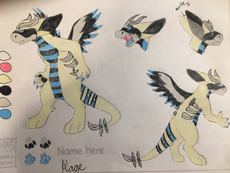 Kage the Dutch Angel Dragon