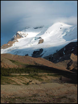 Snowy Topping