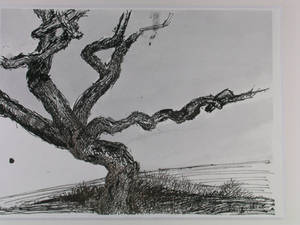 portfolio- tree