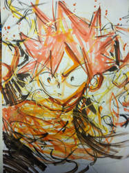 Natsu Dragneel Commission I got From SacAnime