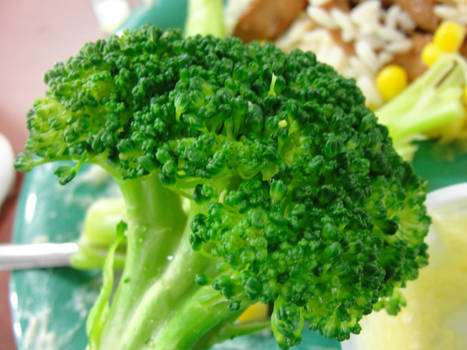 Broccoli...Pretty Obviously